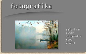 Wygląd strony głównej "Fotografika i nie tylko" - wykonanej wg mojego projektu.