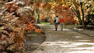 Arboretum w jesiennym sierpniu.