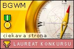 Laureat Konkursu Ciekawa Strona